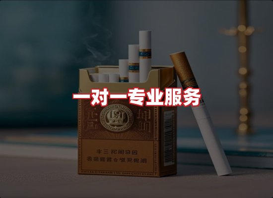 专业团队